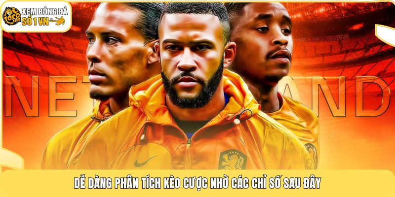Dễ dàng phân tích kèo cược nhờ các chỉ số sau đây