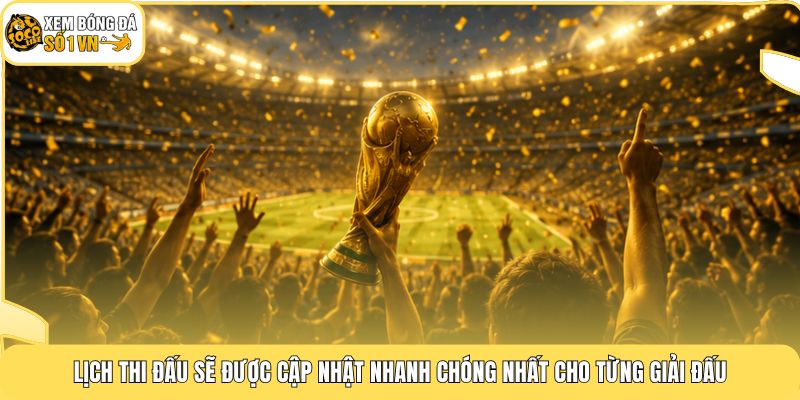 Lịch thi đấu sẽ được cập nhật nhanh chóng nhất cho từng giải đấu